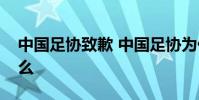 中國足協致歉 中國足協為什么道歉起因是什么