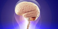 人工智能正在幫助科學家解釋我們的大腦