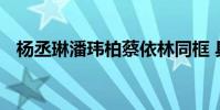 楊丞琳潘瑋柏蔡依林同框 具體是什么情況