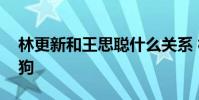林更新和王思聰什么關系 林更新為什么叫林狗