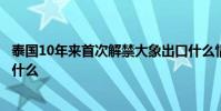 泰國10年來首次解禁大象出口什么情況解禁大象出口意味著什么