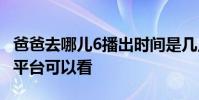 爸爸去哪兒6播出時間是幾點每周幾更新 哪個平臺可以看