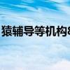 猿輔導等機構8月裁撤數萬人 到底怎么一回事