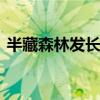半藏森林發長文控訴網絡暴力 半藏往事回顧
