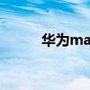 華為mate 30 pro（華為Mate）