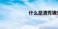 什么是清秀填空?