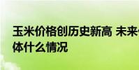 玉米價格創歷史新高 未來價格將如何變化具體什么情況