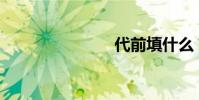 代前填什么?