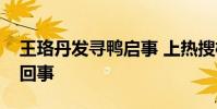 王珞丹發尋鴨啟事 上熱搜榜了到底是怎么一回事