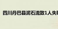 四川丹巴縣泥石流致1人失聯 具體什么情況