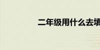 二年級用什么去填動詞?