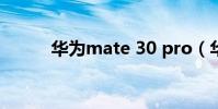 華為mate 30 pro(華為Mate)