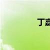 丁嘉筆下的新詞是什么？