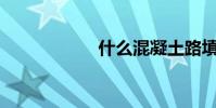 什么混凝土路填空?