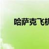 哈薩克飛機墜毀 機上載有一百人 詳情