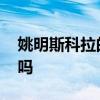 姚明斯科拉的配合集錦 斯科拉和姚明關系好嗎 