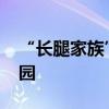 “長腿家族”出動 陸毅鮑蕾一家四口逛游樂園