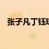 張子凡丁鈺瓊結婚 什么情況他們到底是誰