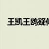 王凱王鷗疑似戀情曝光 雙方是怎么回應的