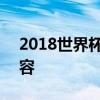 2018世界杯丹麥隊陣容 2018世界杯丹麥陣容 