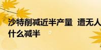沙特削減近半產量 遭無人機襲擊石油產量為什么減半