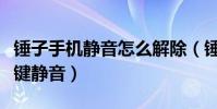 錘子手機靜音怎么解除(錘子手機怎么設置按鍵靜音)