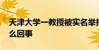 天津大學一教授被實名舉報學術造假 到底怎么回事