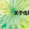關于伐荊 吳王告訴了我們什么？
