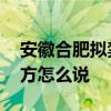 安徽合肥擬禁養中華田園犬 為什么要禁養官方怎么說