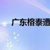 廣東榕泰遭調查 為什么被調查什么原因