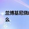 蘭博基尼燒成廢鐵 具體是什么情況發生了什么