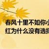 春風十里不如你小紅結局是什么嫁給了誰 春風十里不如你小紅為什么沒有選擇秋水