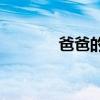 爸爸的計劃主要內容是什么？