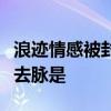 浪跡情感被封號什么情況浪跡情感被封號來龍去脈是