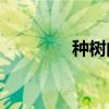 種樹的故事告訴我們什么？