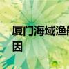廈門海域漁船翻沉 失聯人員仍未找到什么原因