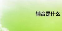 輔音是什么?