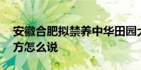 安徽合肥擬禁養中華田園犬 為什么要禁養官方怎么說