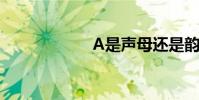A是聲母還是韻母?