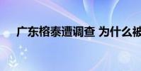 廣東榕泰遭調查 為什么被調查什么原因