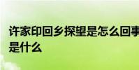 許家印回鄉探望是怎么回事具體事情經過細節是什么