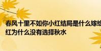 春風十里不如你小紅結局是什么嫁給了誰 春風十里不如你小紅為什么沒有選擇秋水