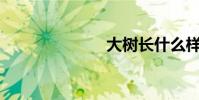 大樹長什么樣?