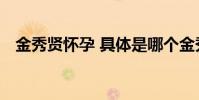 金秀賢懷孕 具體是哪個金秀賢演過什么劇