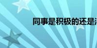 同事是積極的還是消極的?