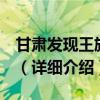 甘肅發現王族墓葬  哪個王族有什么樣的歷史（詳細介紹）