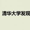 清華大學發現古墓 發現了幾座古墓價值大小
