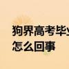 狗界高考畢業生 狗狗“高考”后當醫生具體怎么回事