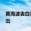 黃海波表白妻子 黃海波怎么表白是不是要復出