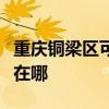 重慶銅梁區可提供雙喜電壓力鍋維修服務地址在哪